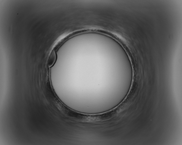 X0000086311271200704131623