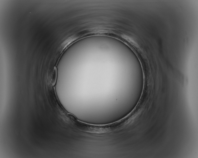 X0000086311273200704131623