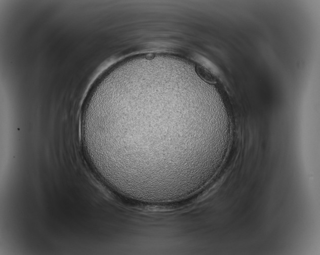 X0000086311275200704131623
