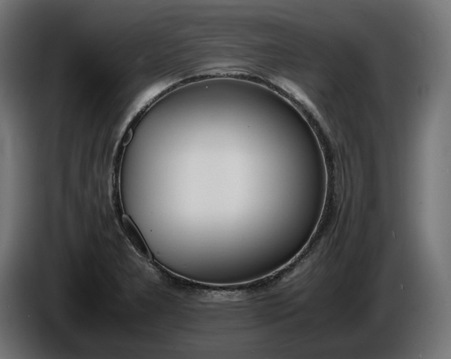 X0000086311277200704131623