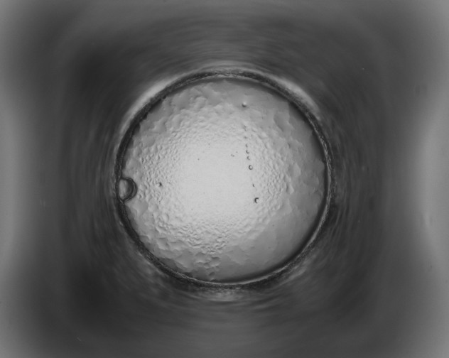 X0000086311279200704131623