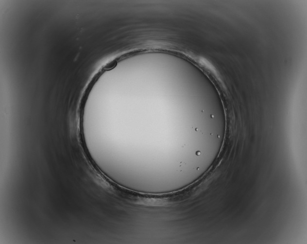X0000086311280200704131623