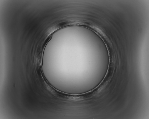 X0000086311281200704131623