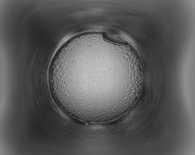 X0000086311283200704131623