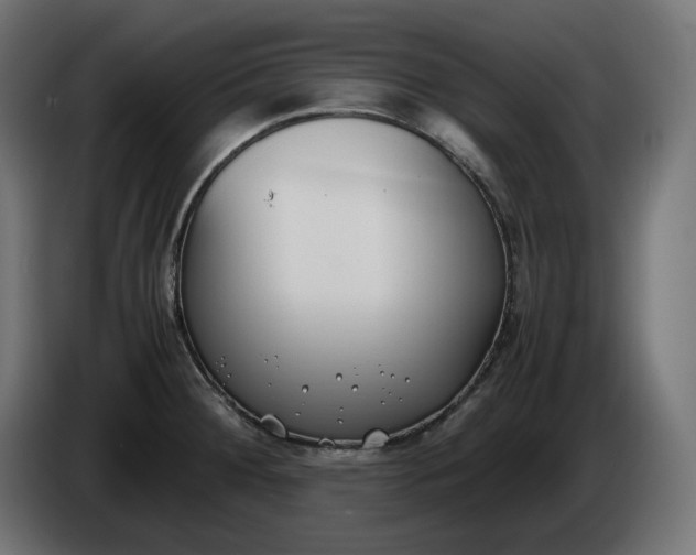 X0000086311284200704131623