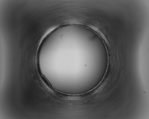 X0000086311285200704131623