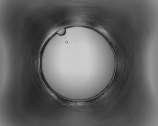X0000086311286200704131623