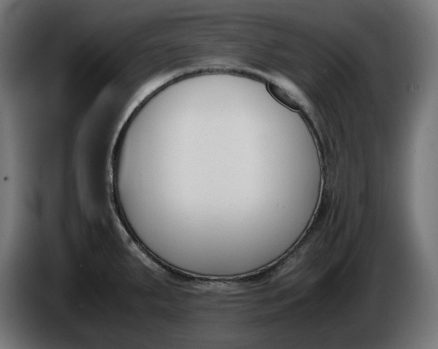 X0000086311287200704131623