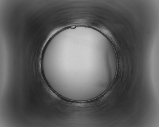 X0000086311288200704131623