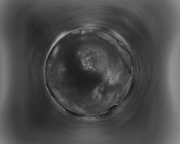 X0000086311291200704131623