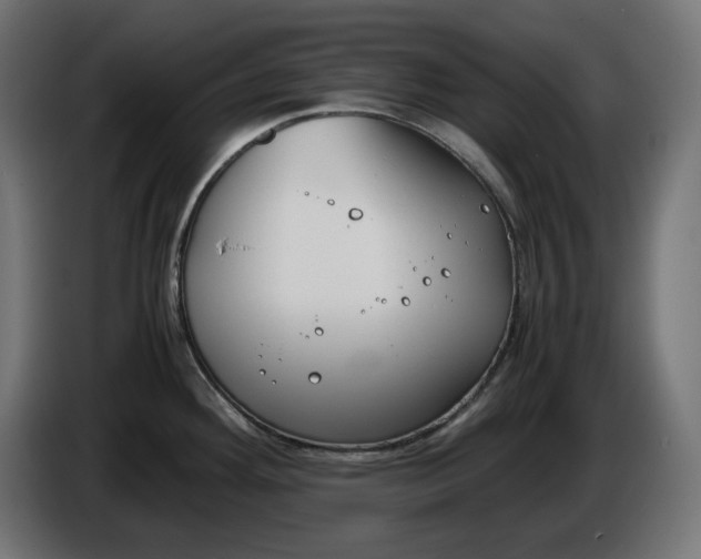 X0000086311292200704131623