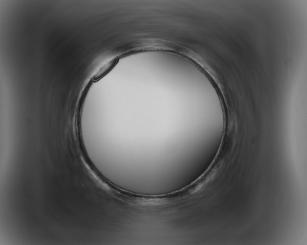 X0000086311293200704131623