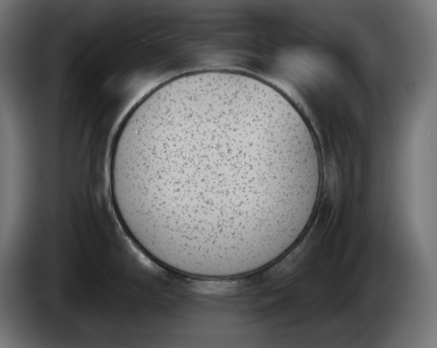 X0000086311294200704131623