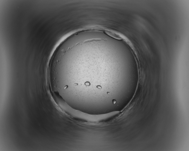 X0000086311295200704131623
