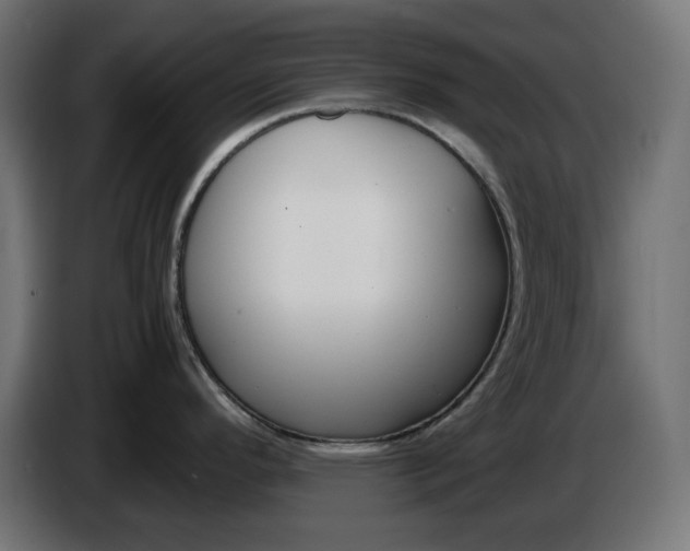 X0000086311296200704131623