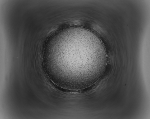 X0000086311297200704131622