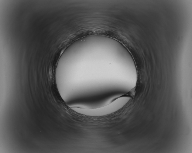 X0000086311298200704131622
