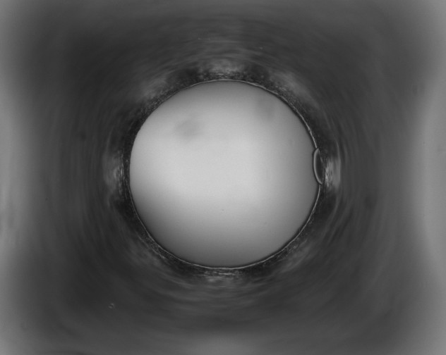 X0000086311299200704131622