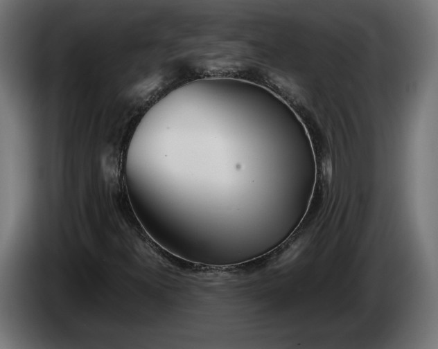 X0000086311300200704131622