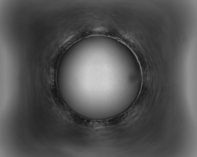 X0000086311301200704131622
