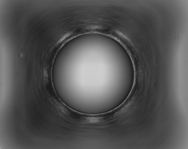 X0000086311305200704131622