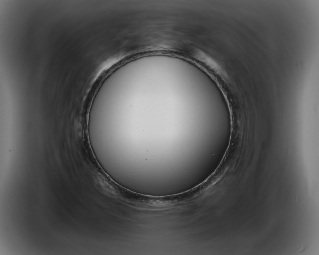 X0000086311308200704131622