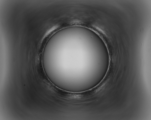 X0000086311309200704131622