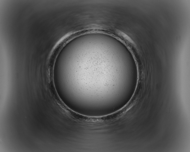 X0000086311310200704131623