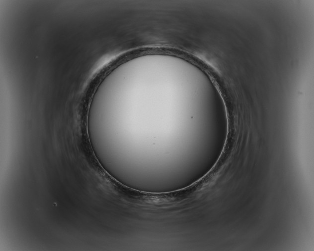 X0000086311311200704131623