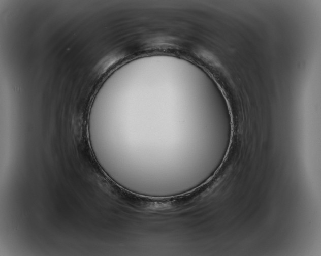 X0000086311313200704131623