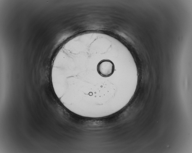 X0000086311314200704131623