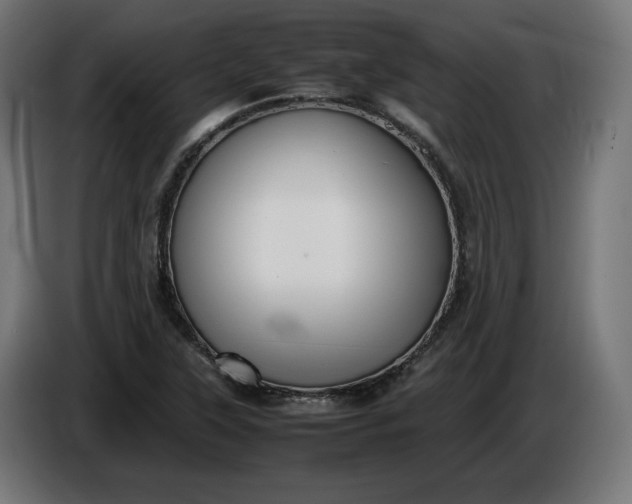 X0000086311315200704131623