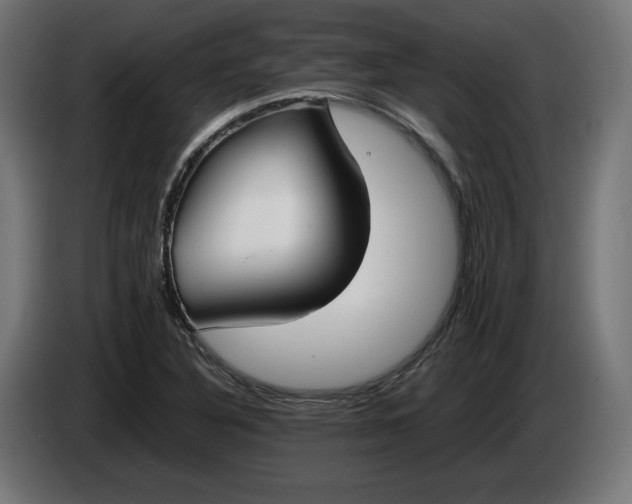 X0000086311316200704131623