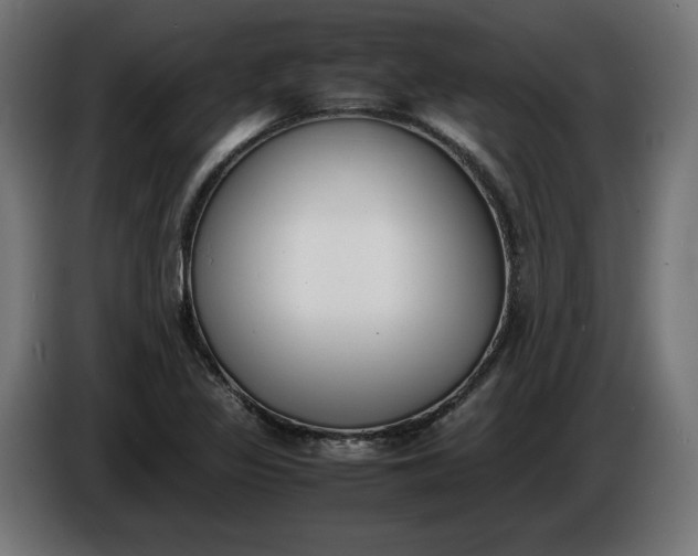 X0000086311317200704131623