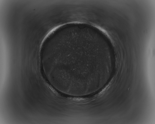 X0000086311319200704131623