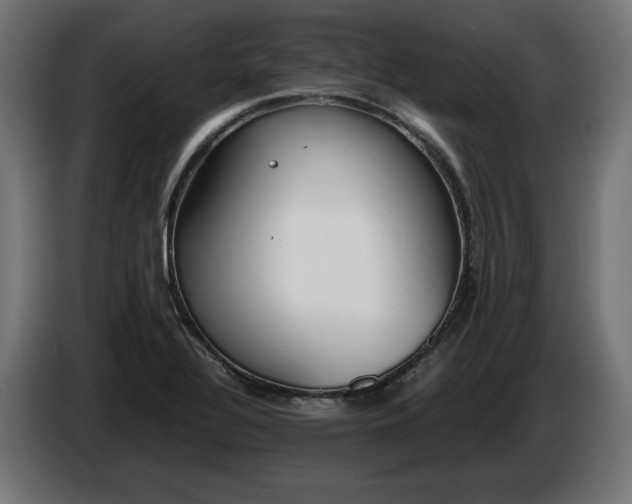 X0000086311320200704131623