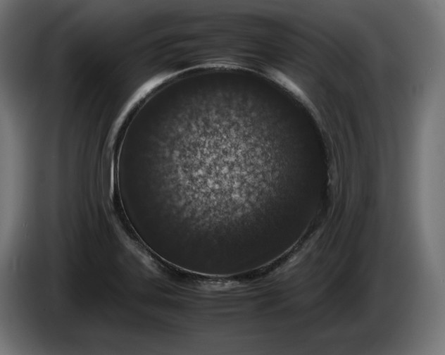 X0000086311323200704131623