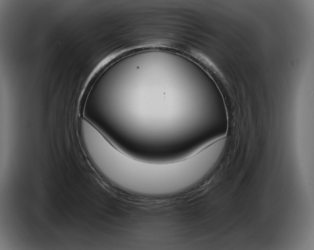 X0000086311324200704131623