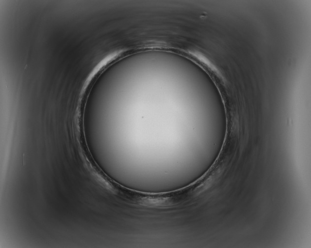 X0000086311325200704131623
