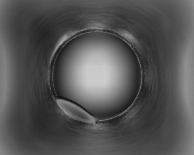 X0000086311326200704131623
