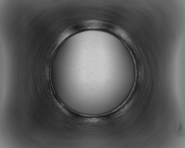 X0000086311329200704131623