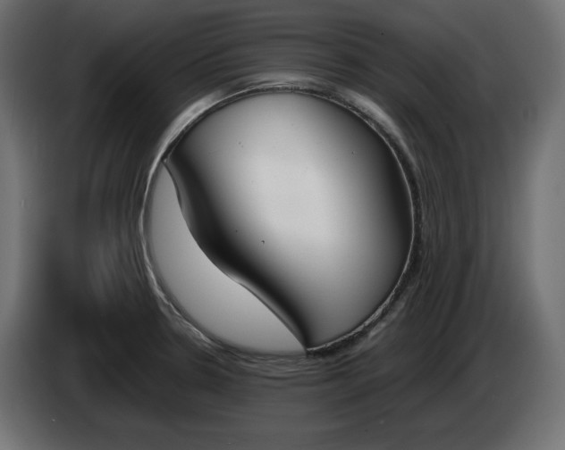 X0000086311330200704131623
