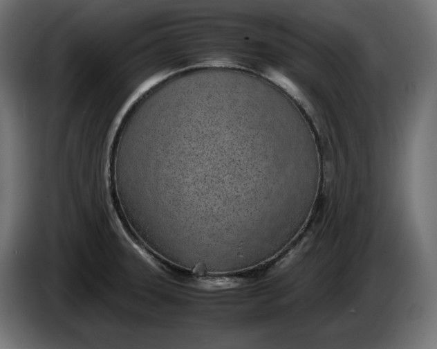 X0000086311331200704131623
