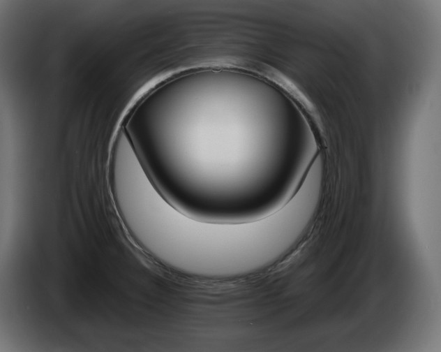 X0000086311332200704131623