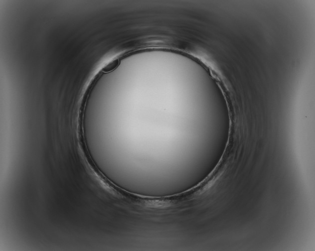 X0000086311333200704131623