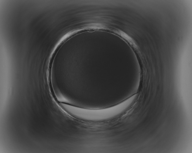 X0000086311334200704131623