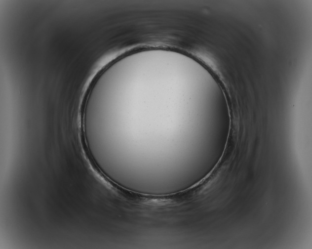 X0000086311335200704131623