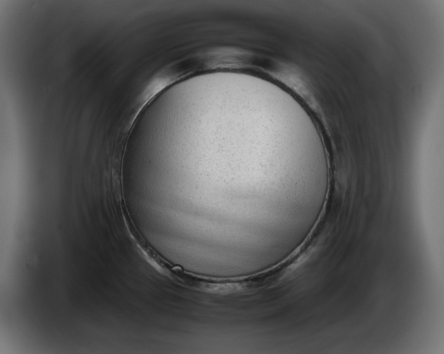X0000086311337200704131623