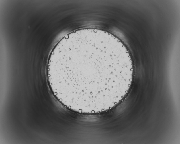 X0000086311338200704131623