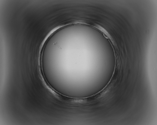 X0000086311339200704131623